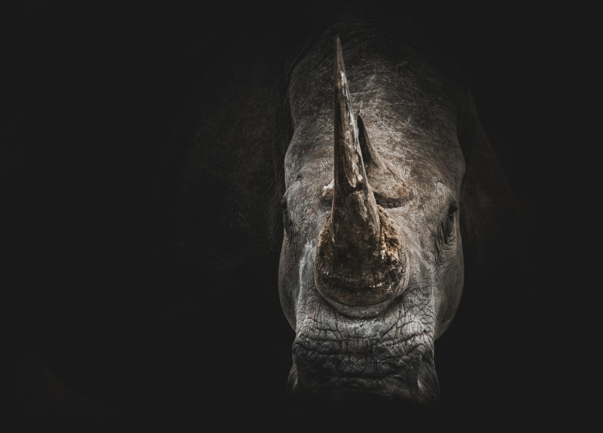 https://auth.horasis.org/wp-content/uploads/2021/03/geran-de-klerk-KsMD_tAdjg0-unsplash.jpg